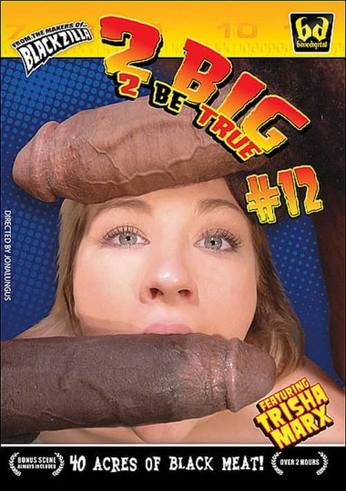 Постер: 2 Big 2 Be True 12
