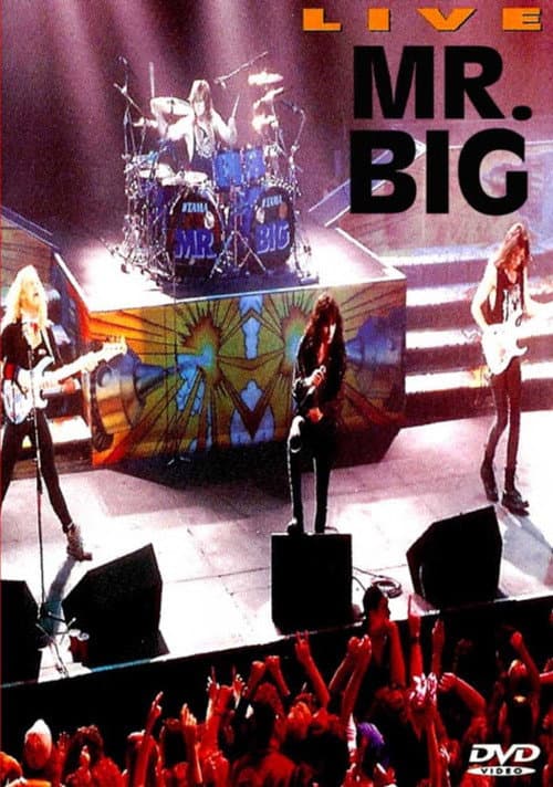 Постер: Mr. Big: Live
