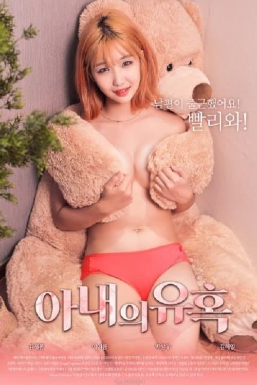 Постер: 아내의 유혹