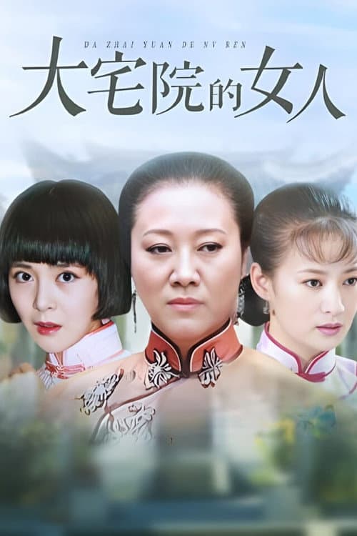 Постер: 大宅院的女人