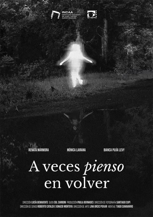 Постер: A veces pienso en volver