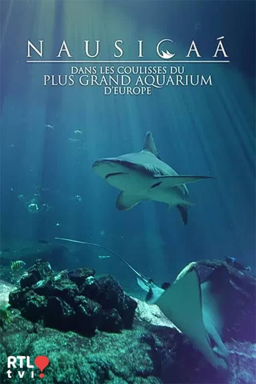 Постер: Nausicaá : Dans les coulisses du plus grand aquarium d'Europe