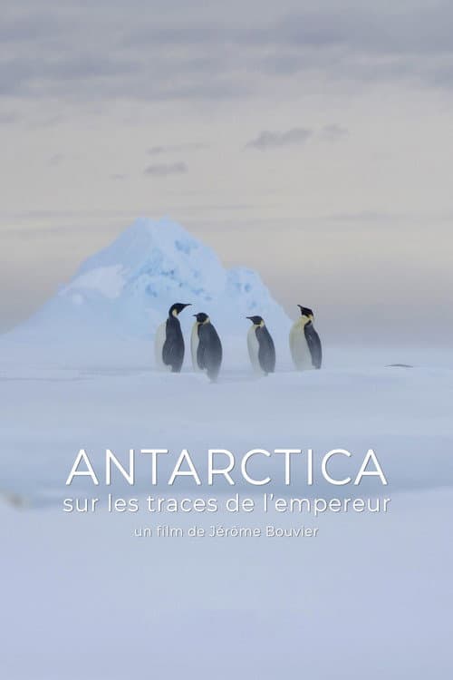 Постер: Antarctica, sur les traces de l'empereur