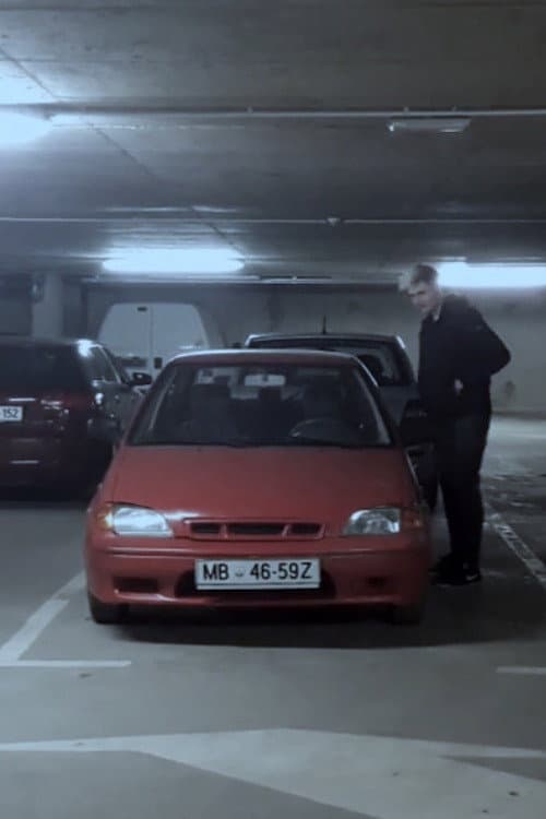 Постер: GUN FIGHT