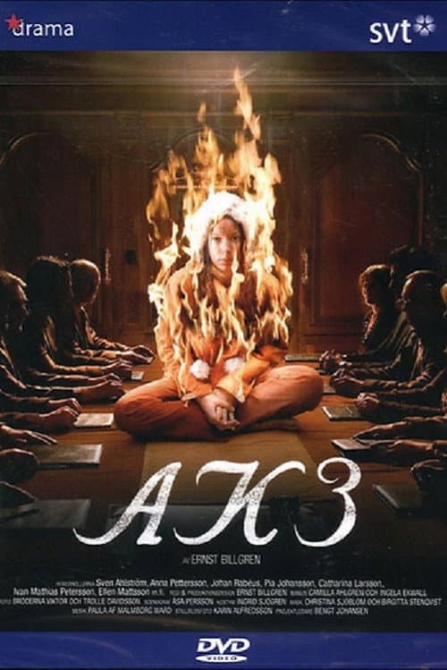 Постер: AK3 - Dolda beslut