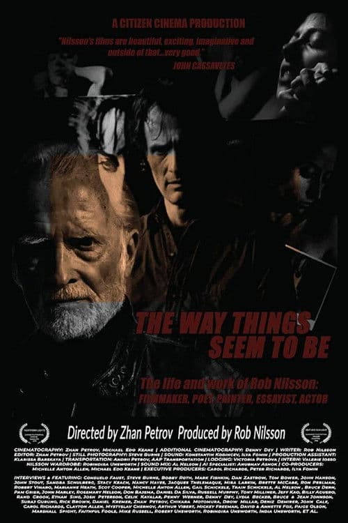 Постер: The Way Things Seem to Be
