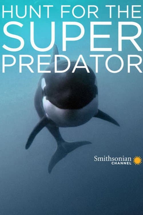 Постер: The Search for the Ocean's Super Predator