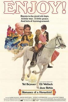 Постер: Le Roman d'un voleur de chevaux
