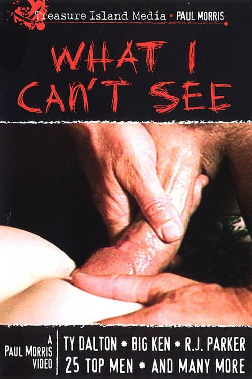 Постер: What I Can't See
