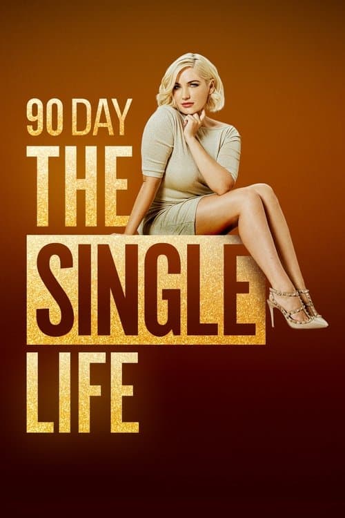 Постер: 90 Day: The Single Life