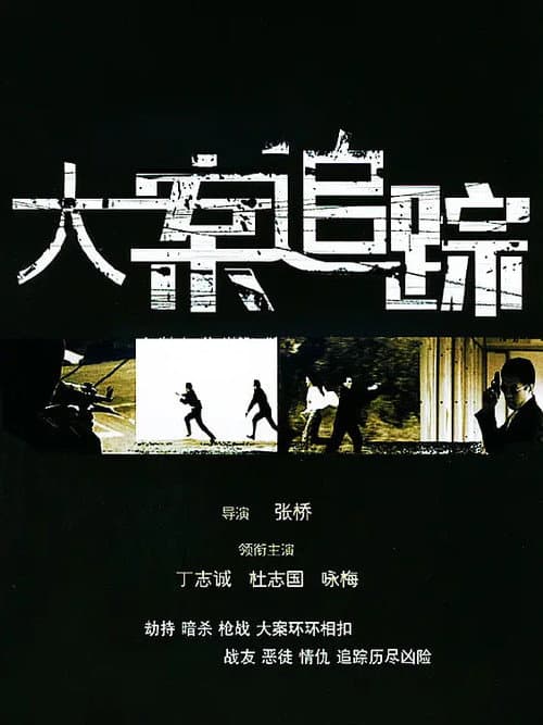 Постер: 大案追踪
