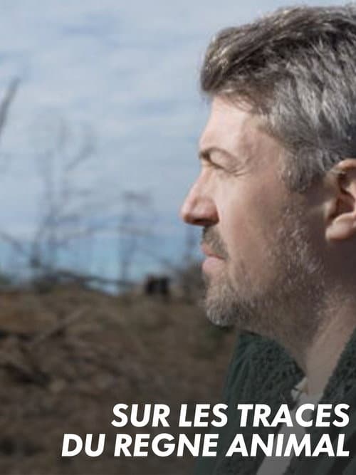 Постер: Sur les traces du règne animal
