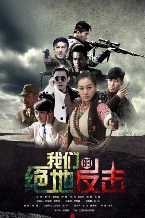 Постер: 我们的绝地反击