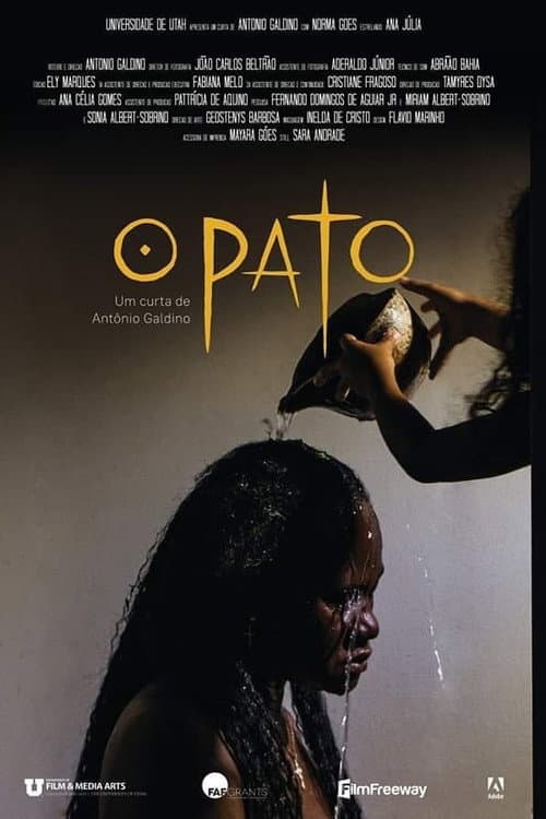 Постер: O Pato