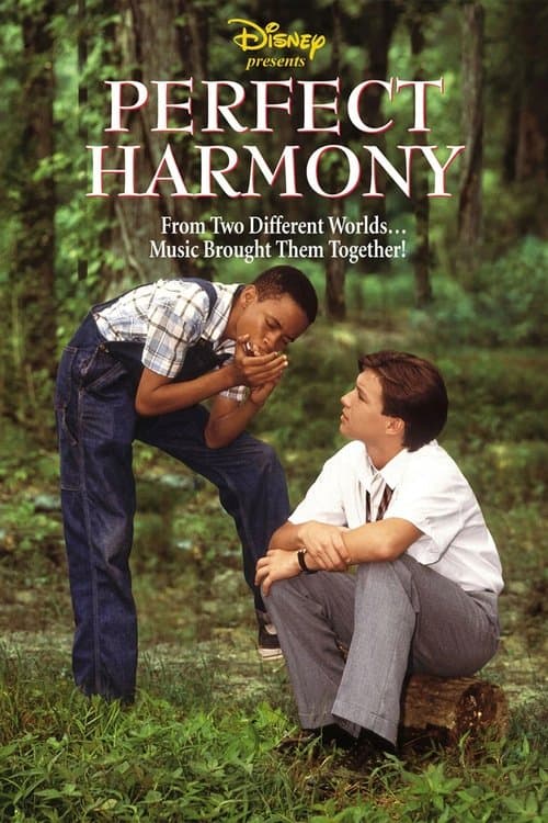 Постер: Perfect Harmony