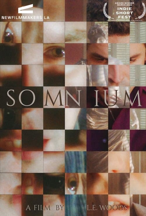 Постер: Somnium