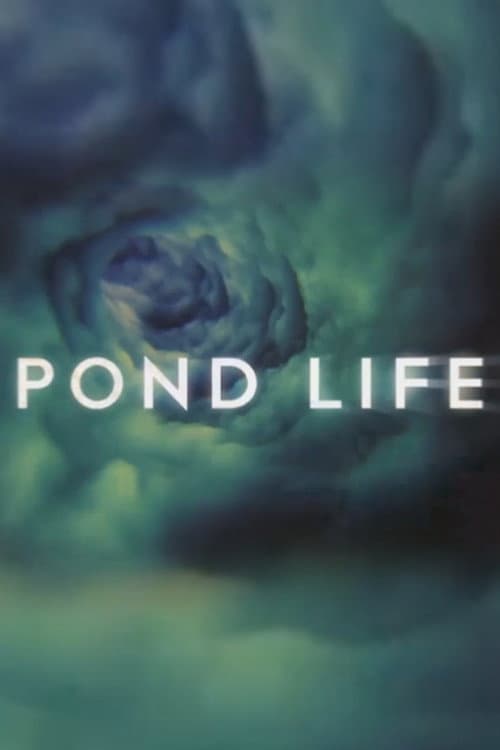 Постер: Pond Life