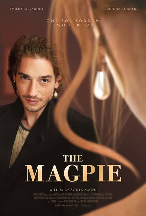 Постер: The Magpie