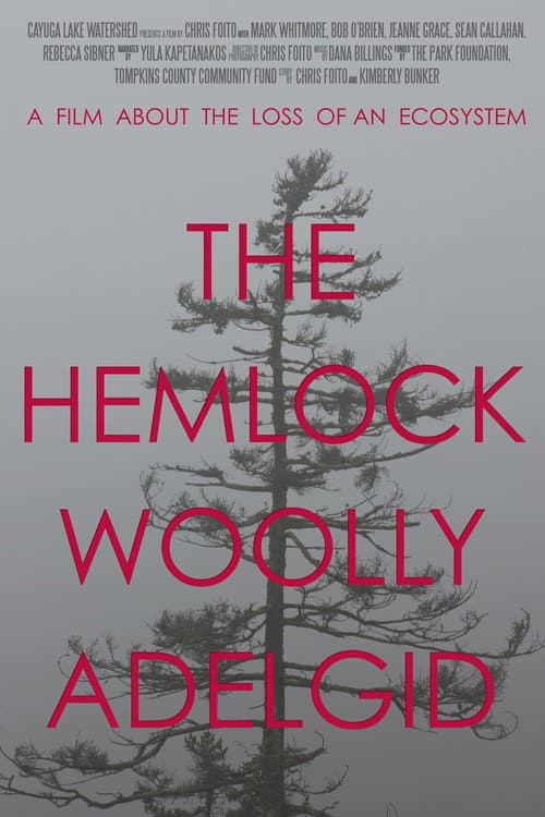 Постер: The Hemlock Woolly Adelgid: A Film About the Loss of an Ecosystem