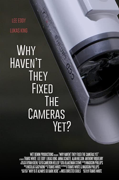 Постер: Why Haven't They Fixed the Cameras Yet?