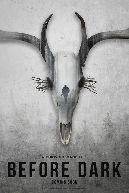 Постер: Before Dark