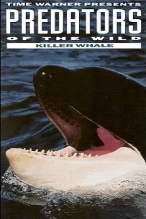 Постер: Predators of the Wild: Killer Whale