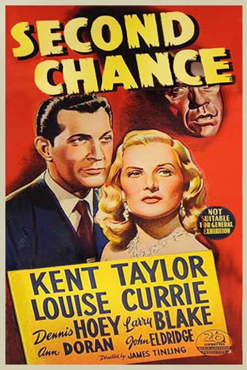 Постер: Second Chance
