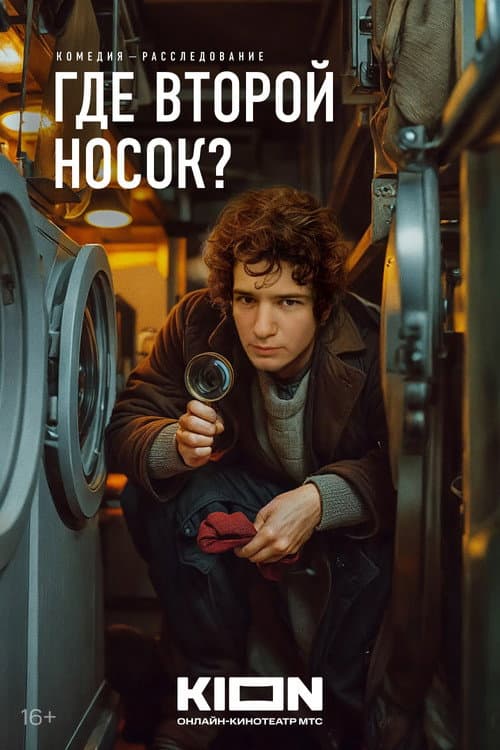 Постер: Где второй носок?