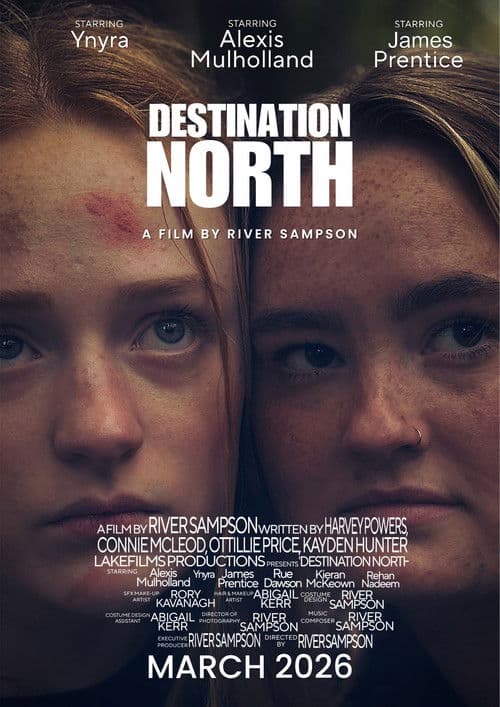 Постер: Destination North