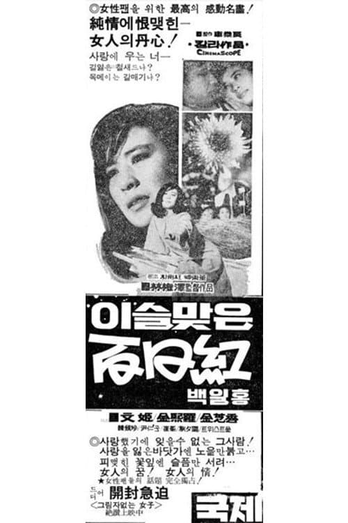 Постер: 이슬맞은 백일홍