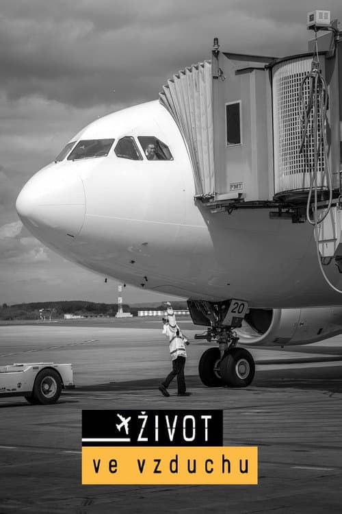 Постер: Život ve vzduchu