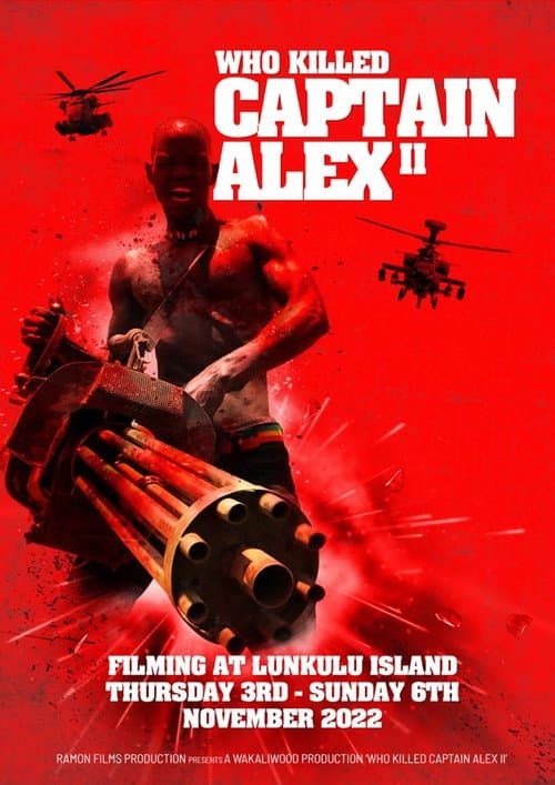 Постер: Who Killed Captain Alex 2