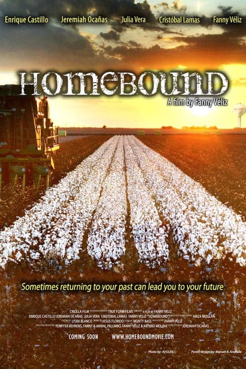 Постер: Homebound