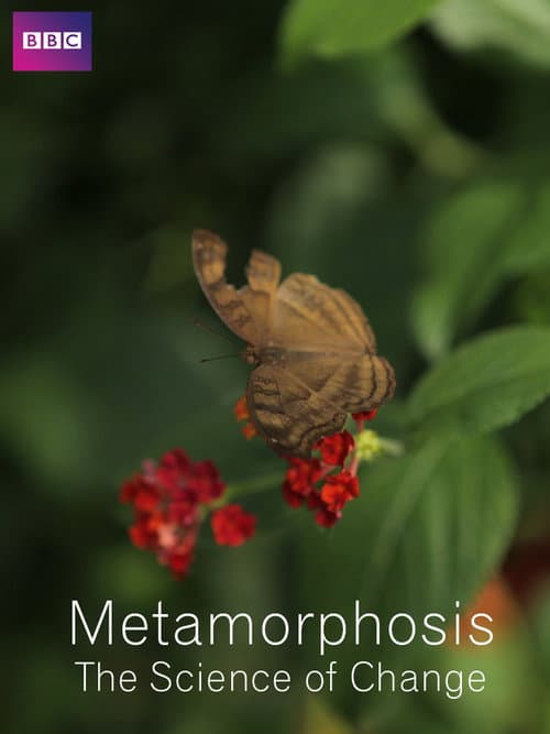 Постер: Metamorphosis: The Science of Change