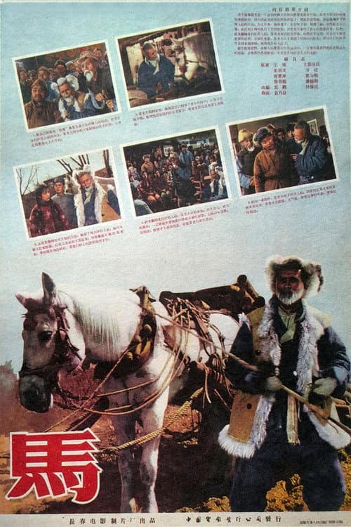 Постер: The Horse
