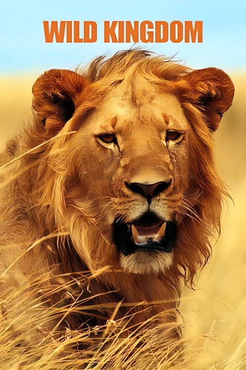 Постер: Wild Kingdom