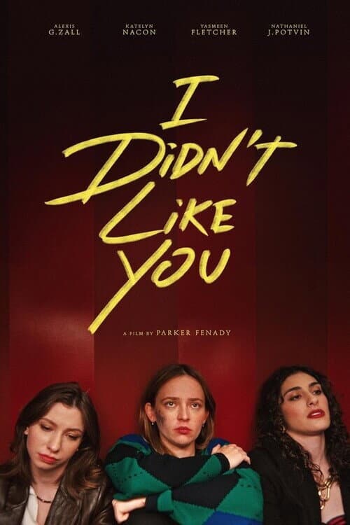 Постер: I Didn't Like You
