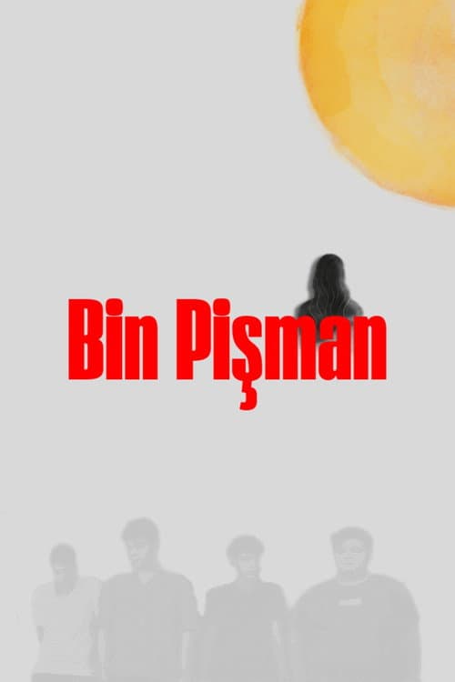 Постер: Bin Pişman