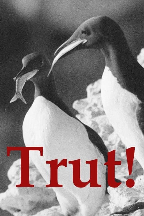Постер: Trut!