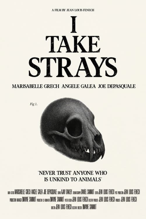 Постер: I TAKE STRAYS