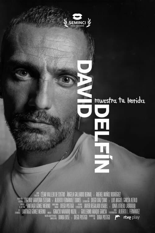 Постер: David Delfín, muestra tu herida