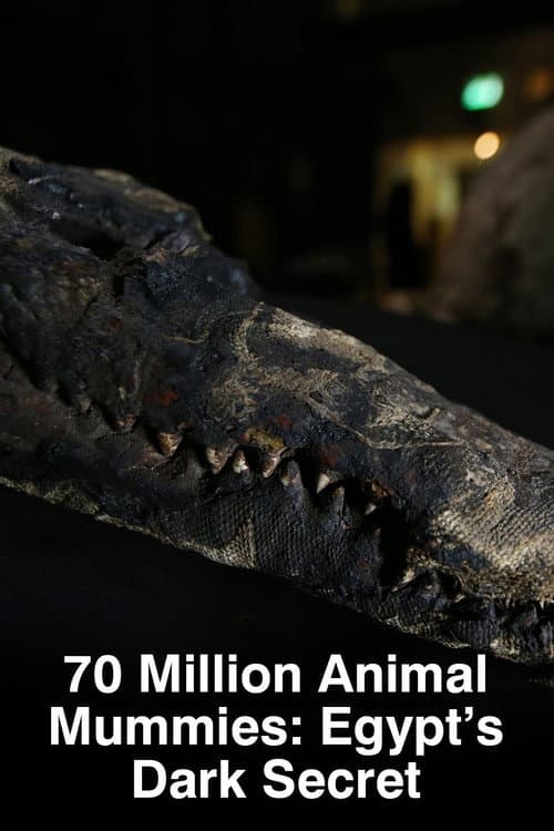 Постер: 70 Million Animal Mummies: Egypt's Dark Secret