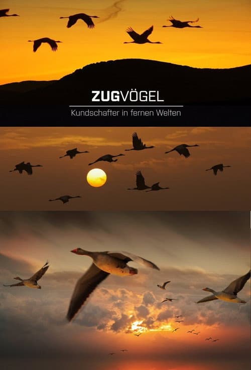 Постер: Zugvögel - Kundschafter in fernen Welten