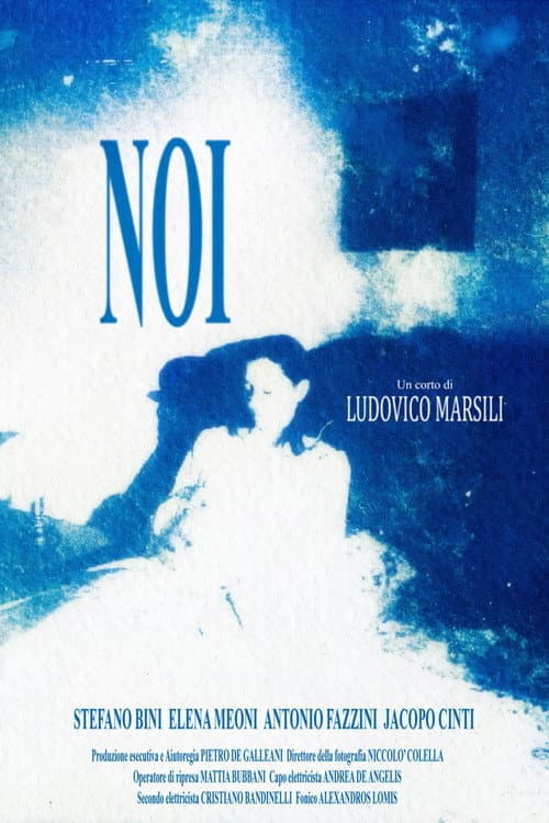 Постер: Noi