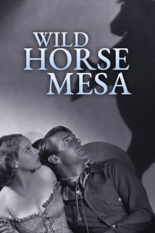 Постер: Wild Horse Mesa