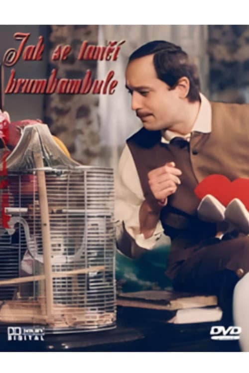 Постер: Jak se tančí brumbambule
