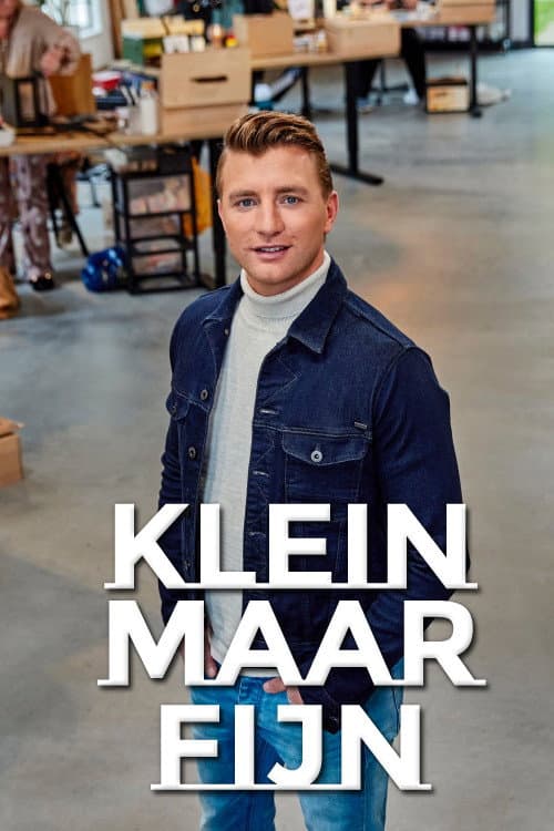 Постер: Klein maar fijn