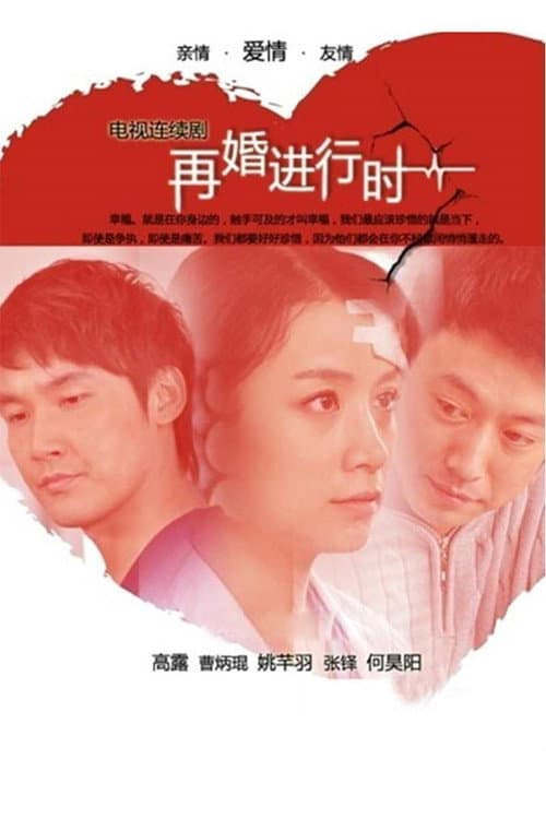 Постер: 再婚进行时