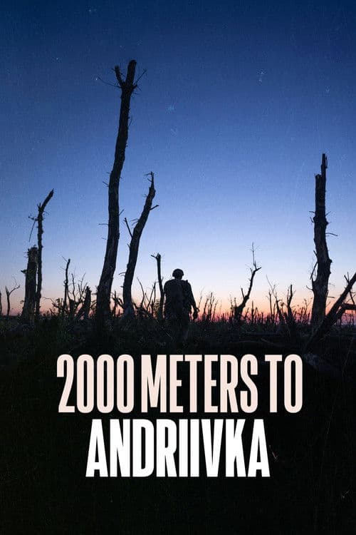 Постер: 2000 метров до Андреевки