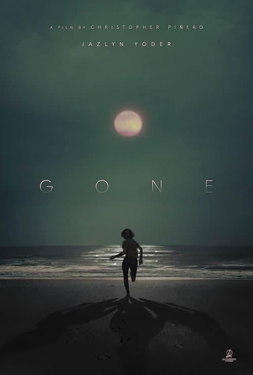 Постер: Gone